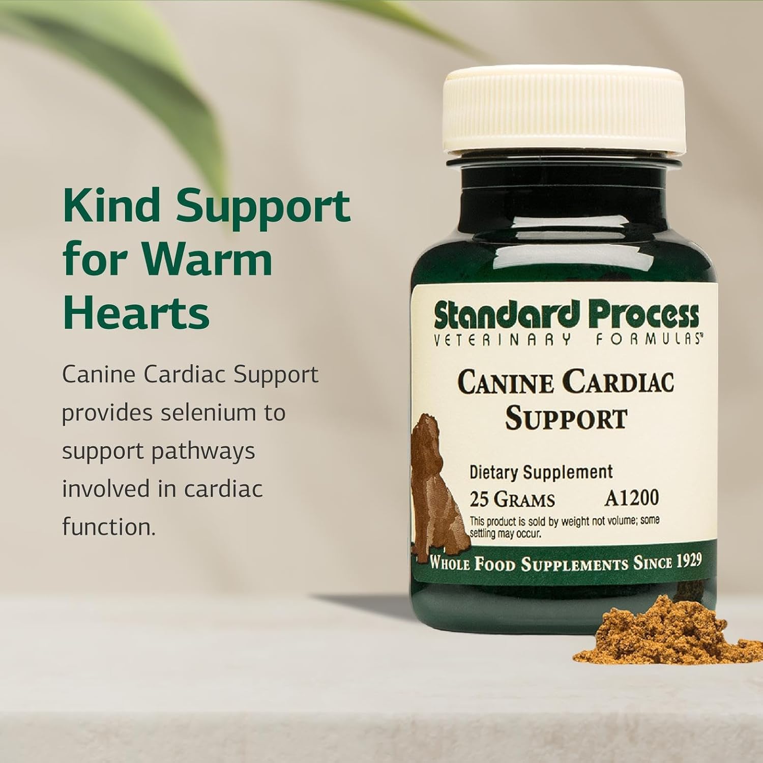 Standard Process Inc. Canine Cardiac Support - Suplemento para la salud cardíaca de perros con selenio - 25 g