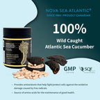 Nova Sea Atlantic Suplemento de Pepino de Mar, 60 Cápsulas
