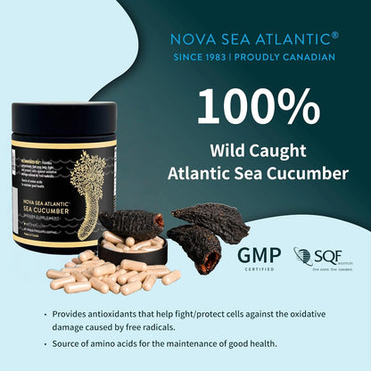 Nova Sea Atlantic Suplemento de Pepino de Mar, 60 Cápsulas – Image 2