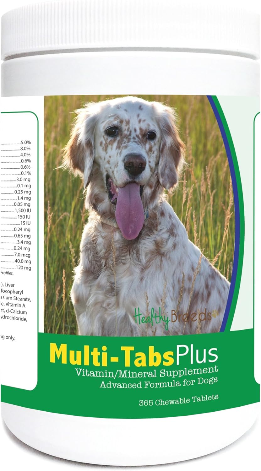 Healthy Breeds English Setter Multi-Tabs Plus Comprimidos Masticables 365 Unidades