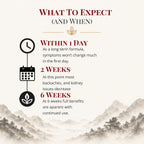 Health Concerns Rehmannia 8 - Complemento Alimenticio con Extractos de Hierbas Chinas - 90 Cápsulas