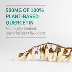 Garden of Life Dr. Formulated Quercetin Immune Daily Vitamin con Vitamina C, D y Probióticos – 30 Comprimidos