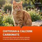 Epakitin - 60 gramos - Suplemento renal para perros y gatos