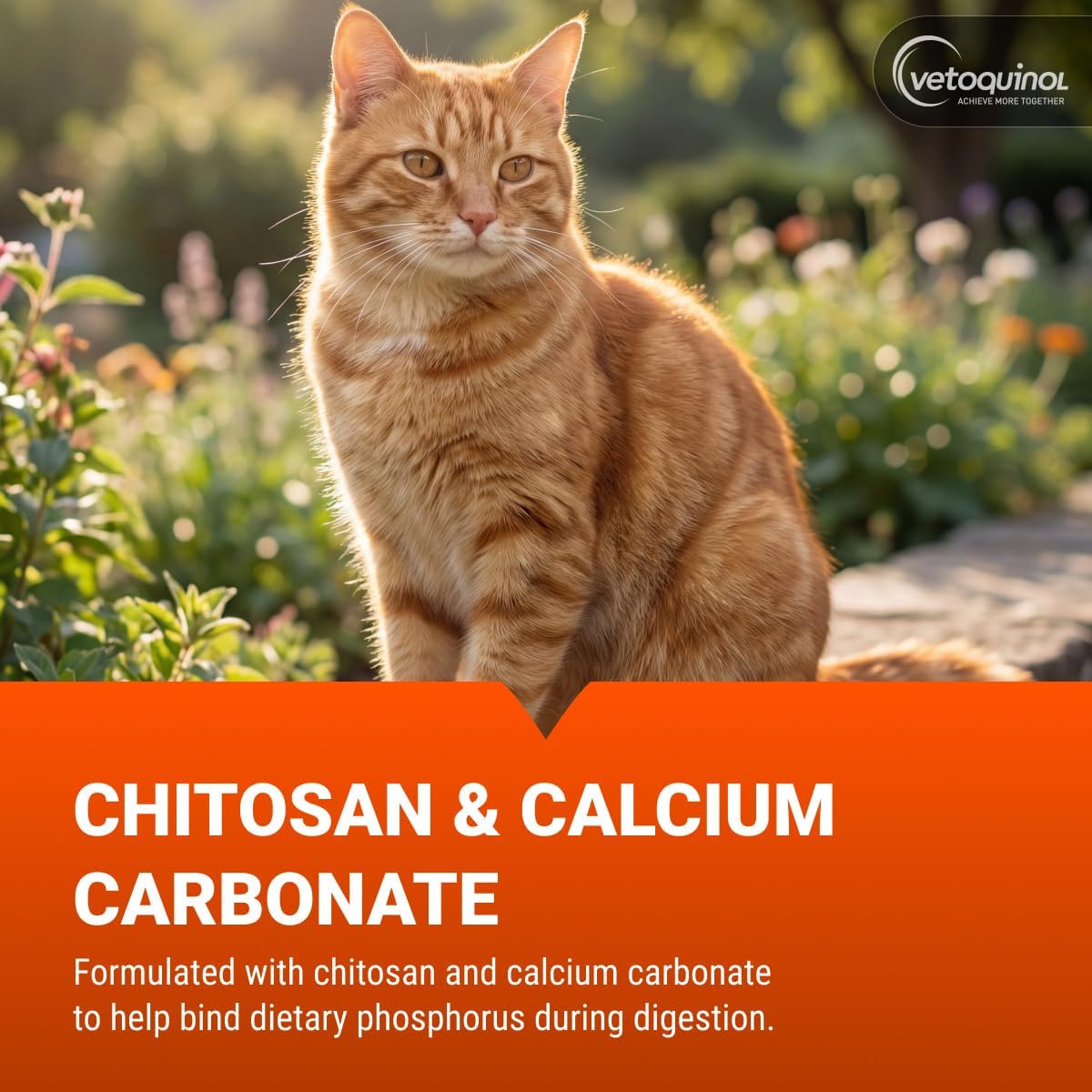 Epakitin - 60 gramos - Suplemento renal para perros y gatos