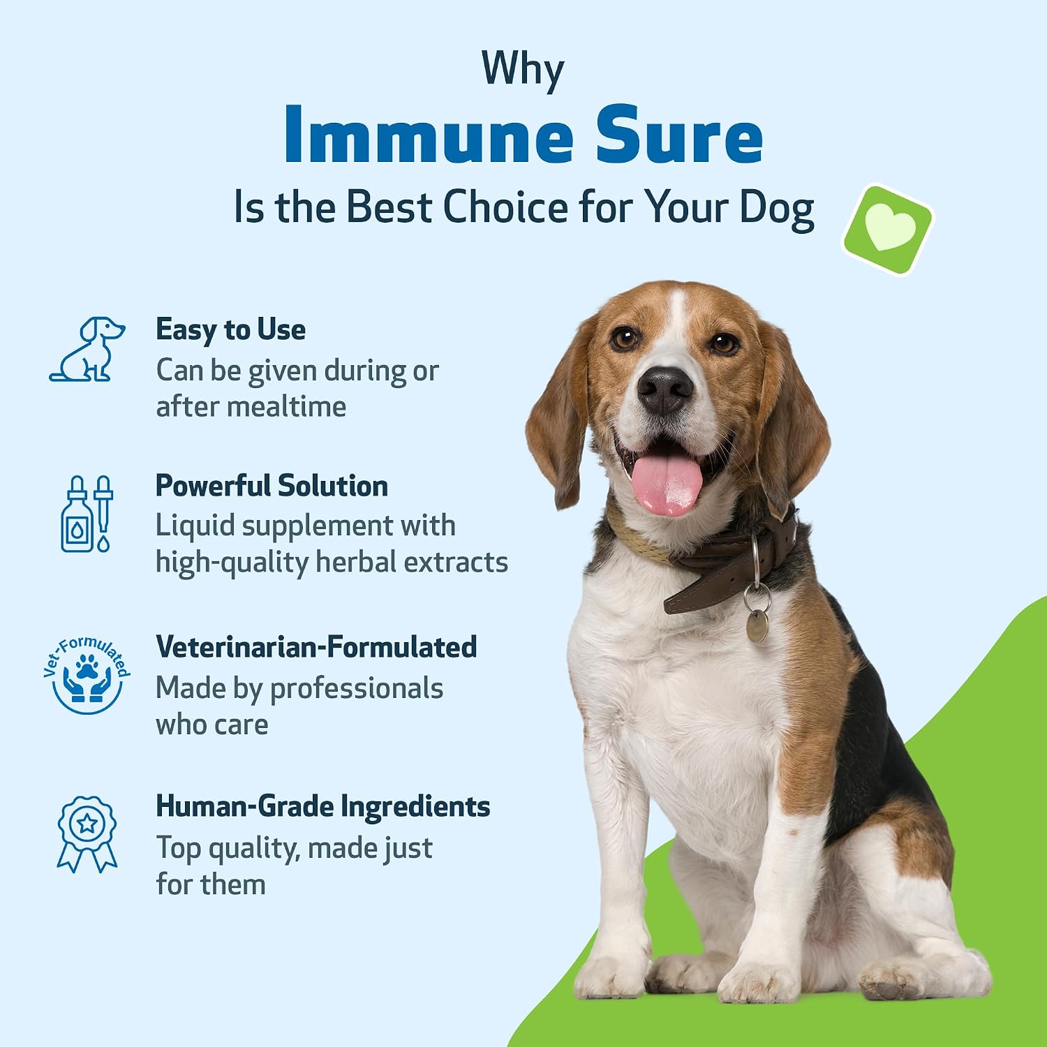 Pet Wellbeing Immune Sure para Perros - Apoya las Defensas Inmunitarias Normales, Equilibrio de la Flora Intestinal, Andrographis, Echinacea, Vitamina C, Zinc - Suplemento Herbario Formulado por Veterinarios 118 ml