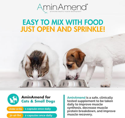 AminAmend Suplemento Muscular para Perros y – Mantenimiento de la masa muscular: El CaHMB ayuda a reducir el – Image 9