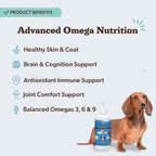 Natural Dog Company Arctic Omega Oil para Perros – Mezcla de Salmón, Abadejo, Krill y Algas, 473 ml