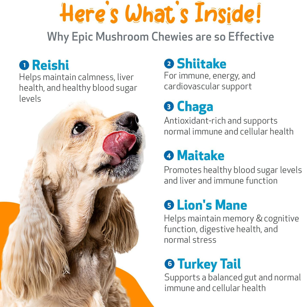 Pet Wellbeing Epic Mushroom Chewies para Perros – Apoyo Inmune, Salud Cognitiva y Adaptogénica con Hongos Funcionales Reishi, Chaga, Lion's Mane – Formulado por Veterinarios – 90 masticables blandos