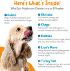 Pet Wellbeing Epic Mushroom Chewies para Perros – Apoyo Inmune, Salud Cognitiva y Adaptogénica con Hongos Funcionales Reishi, Chaga, Lion's Mane – Formulado por Veterinarios – 90 masticables blandos
