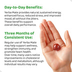 HOLYMARY Gominolas de Yerba Mate Sabor Frambuesa - Energía, Concentración y Vitalidad - Vegano, Sin Gluten, 50 Gominolas