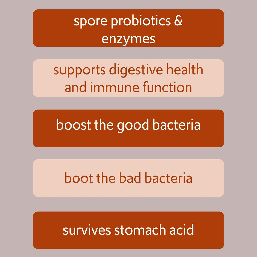 Bacillus B3 Probiótico de Esporas + Enzimas, 60 Cápsulas