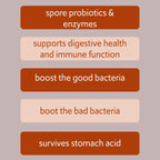 Bacillus B3 Probiótico de Esporas + Enzimas, 60 Cápsulas