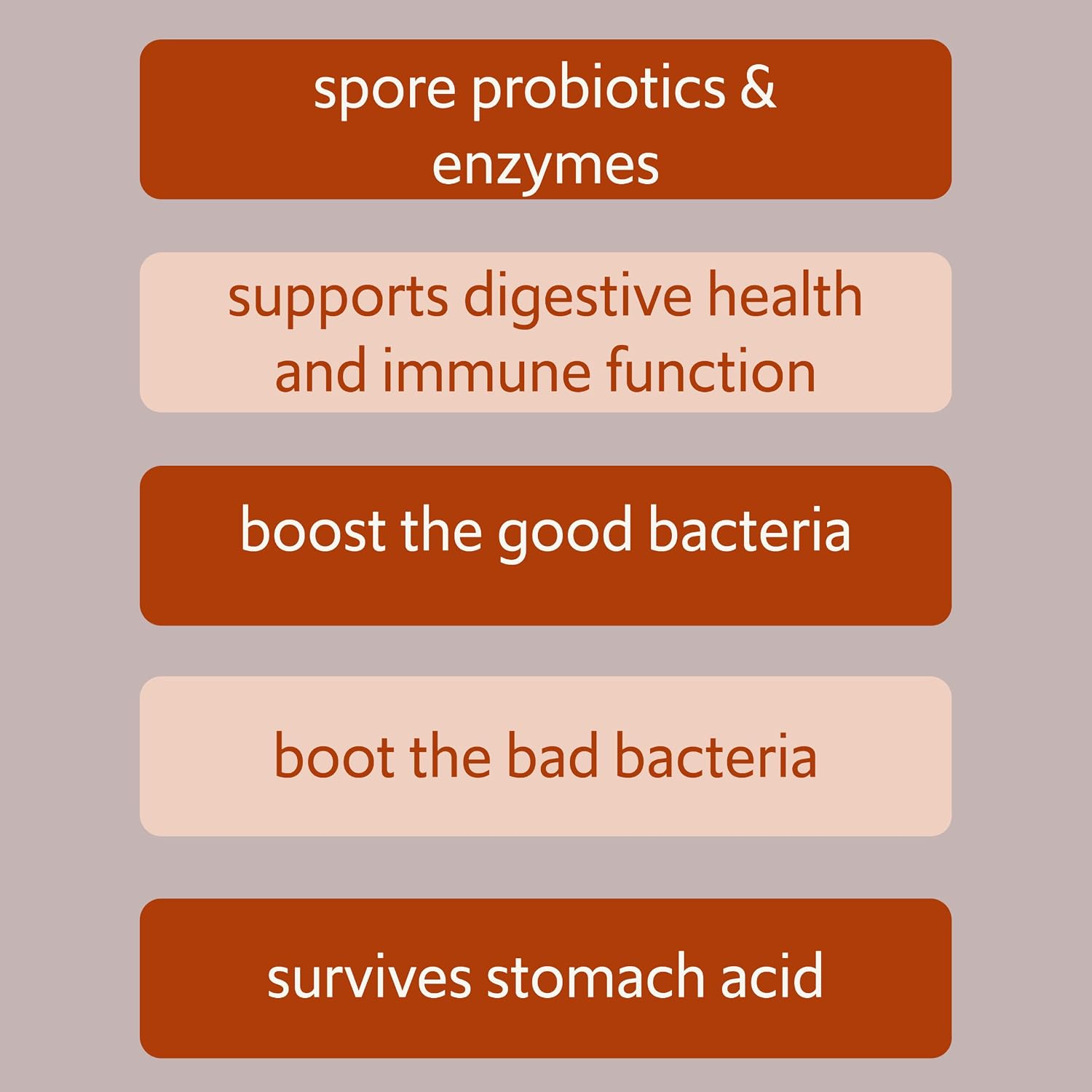 Bacillus B3 Probiótico de Esporas + Enzimas, 60 Cápsulas