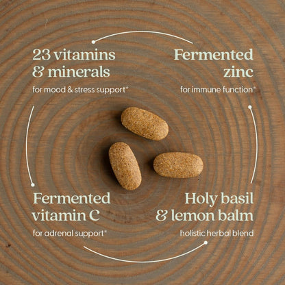 New Chapter Perfect Calm - Multivitamínico – Fórmula completa: Aporta vitamina A, D3, C, todas las vitaminas B – Image 3