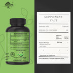 Cápsulas de Moringa Orgánica | Suplemento de Hojas de Moringa Verde para Energía, Metabolismo y Apoyo Inmunológico – 120 Cápsulas, Superalimento Natural