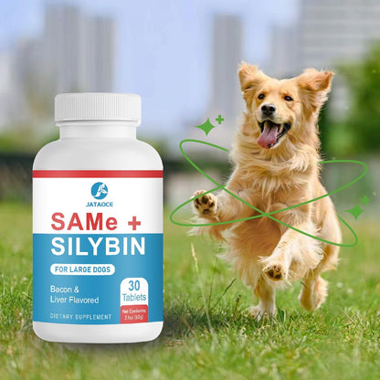 Same y Silybin para Perros - – Excipientes necesarios para la formulación en comprimidos. – Image 6