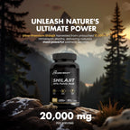 Cápsulas de Shilajit 20,000 mg – Shilajit Puro del Himalaya para Hombres y Mujeres – 120 Cápsulas Veganas