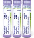 Boiron Hamamelis Virginiana 200ck Medicamento Homeopático para Hemorroides - Pack de 3 (240 glóbulos)