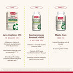 Jarrow Formulas Goma de Masilla (Mastic Gum) 1000 mg - 120 Cápsulas Veganas