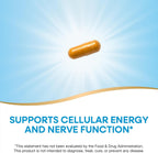 Nature's Way B-Stress Formula - Complejo de Vitaminas B con Vitamina C, B12, B6 y más - 100 Cápsulas Veganas