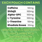 Immortal Drip RIP Bolsitas Nootrópicas de Energía (Wintergreen) – 5 Latas – 15 Bolsitas por Lata – Energía Limpia y Enfoque – 50mg Cafeína, Shilajit, Alpha-GPC, L-Tirosina, Rhodiola