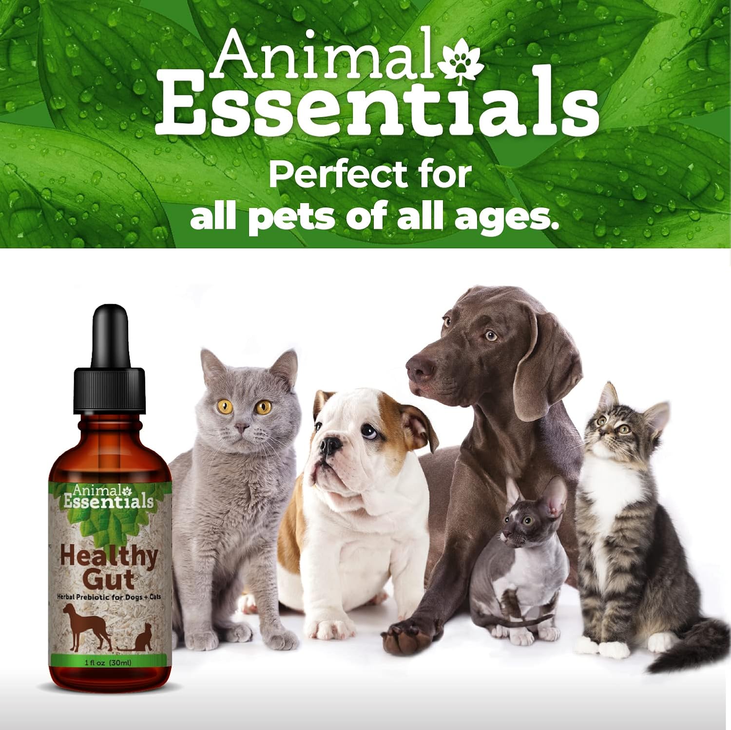 Animals' Apawthecary Prebiotic Plus (28 g)