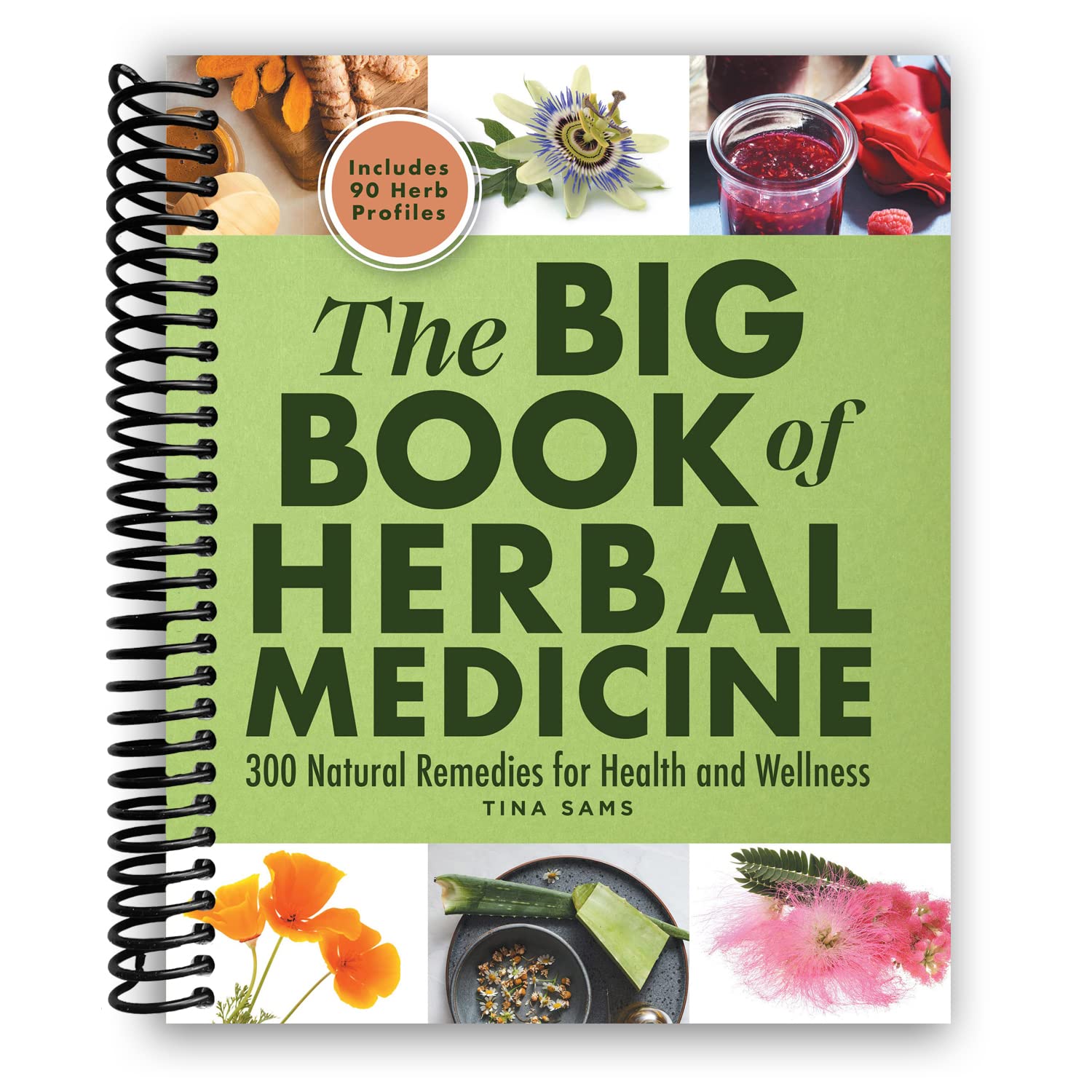 The Big Book of Herbal Medicine: 300 Natural Remedies for Health and Wellness [Spiral-bound] Tina Sams