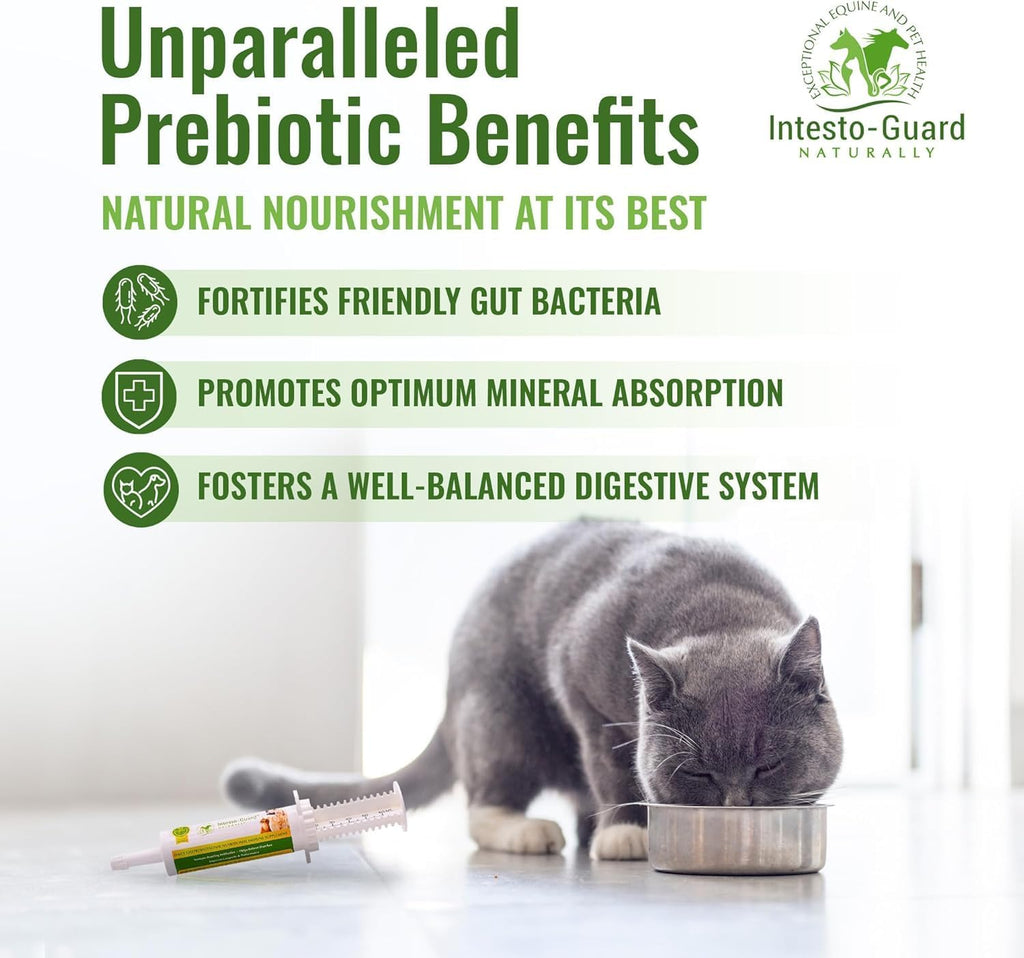 Pasta de Probióticos para Perros con Prebiótico, Apoyo Digestivo e Inmunitario, Natural con 1 Billón por ml, Incluye MOS, Beta Glucanos y D-Manosa, Sin Subproductos Animales - Tubo de 30 ml