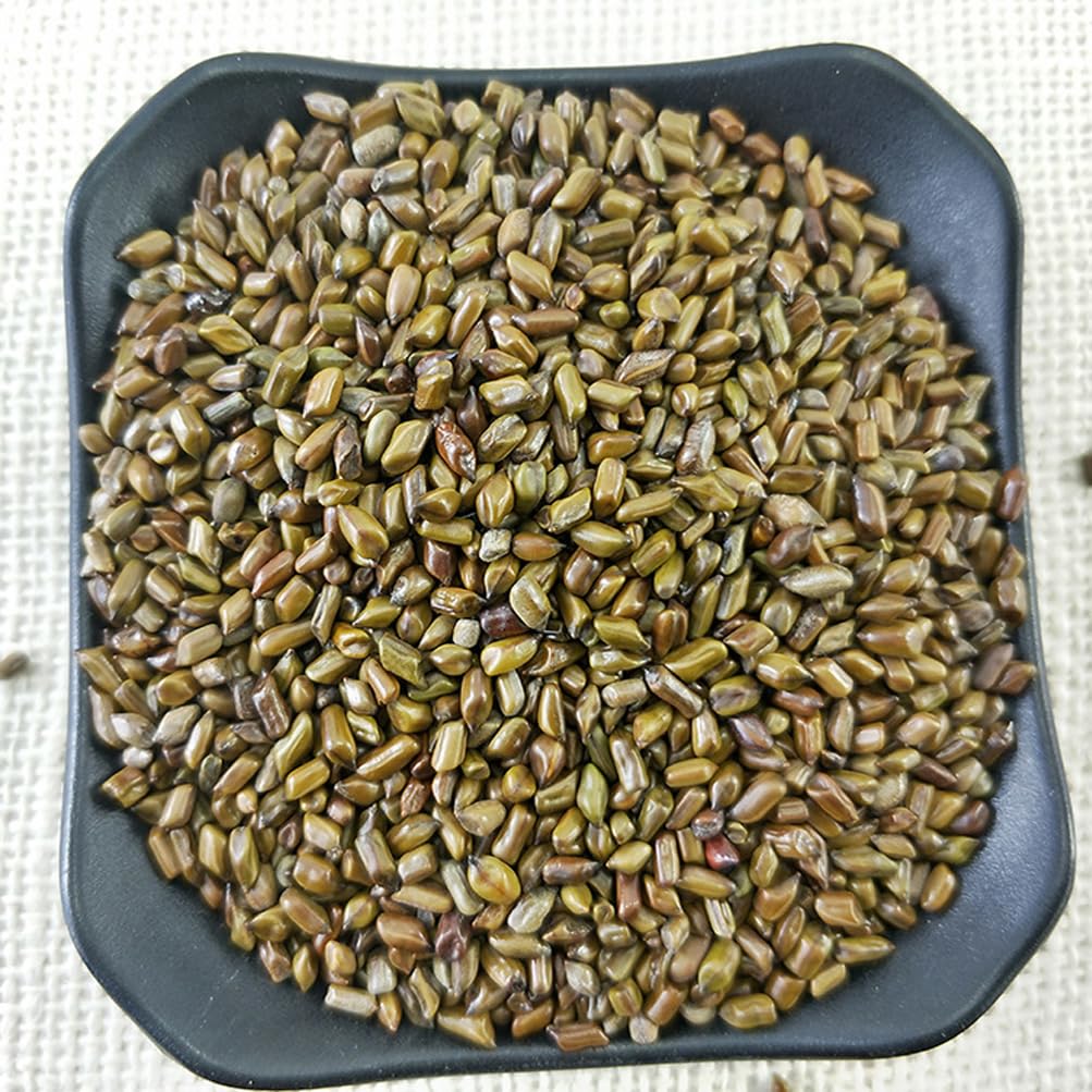 Semen Cassiae Jue Ming Zi (100g)