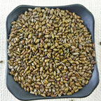 Semen Cassiae Jue Ming Zi (100g)