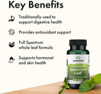 Swanson Spearmint Leaf Full Spectrum - Suplemento Digestivo - 400 mg Mentha Spicata (60 Cápsulas, Pack de 2)