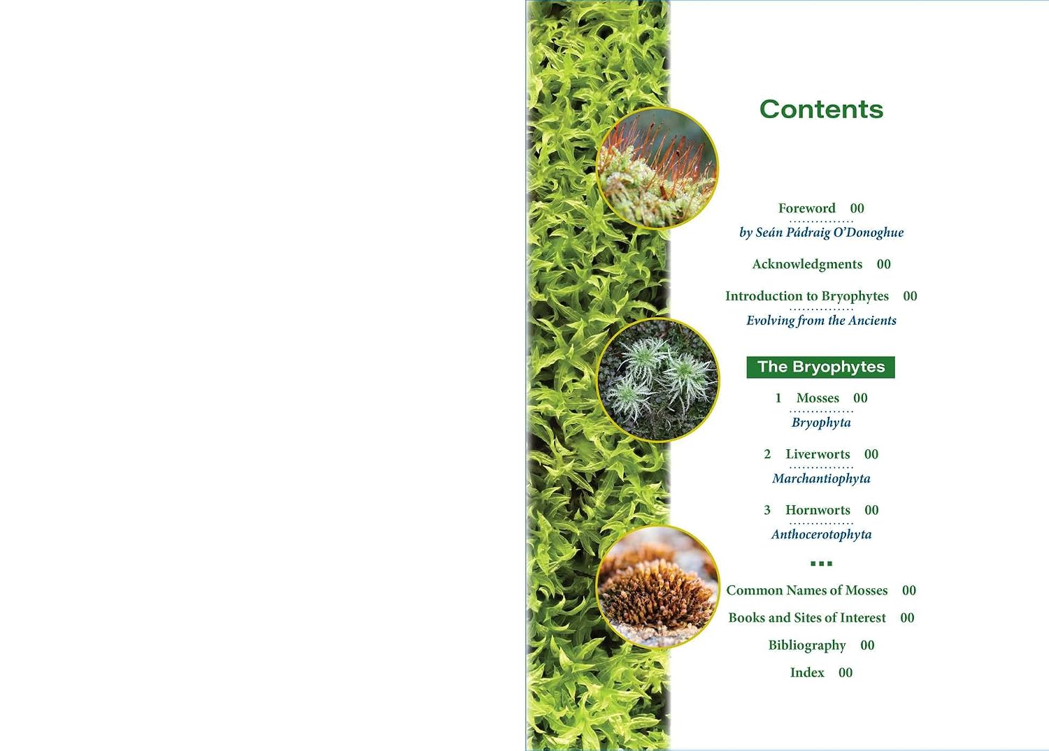 Moss Medicine: Indigenous Wisdom and Modern Pharmacology