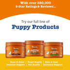 Zesty Paws Multivitamínico para Perros – 90 Comprimidos Masticables Sabor Pollo