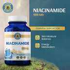 Vykee Nutrition Niacinamida 500 mg - Complemento de Vitamina B3 para el Bienestar de la Piel, Energía Celular y Apoyo Metabólico - Vegano, Sin OGM, Sin Gluten - 120 Cápsulas