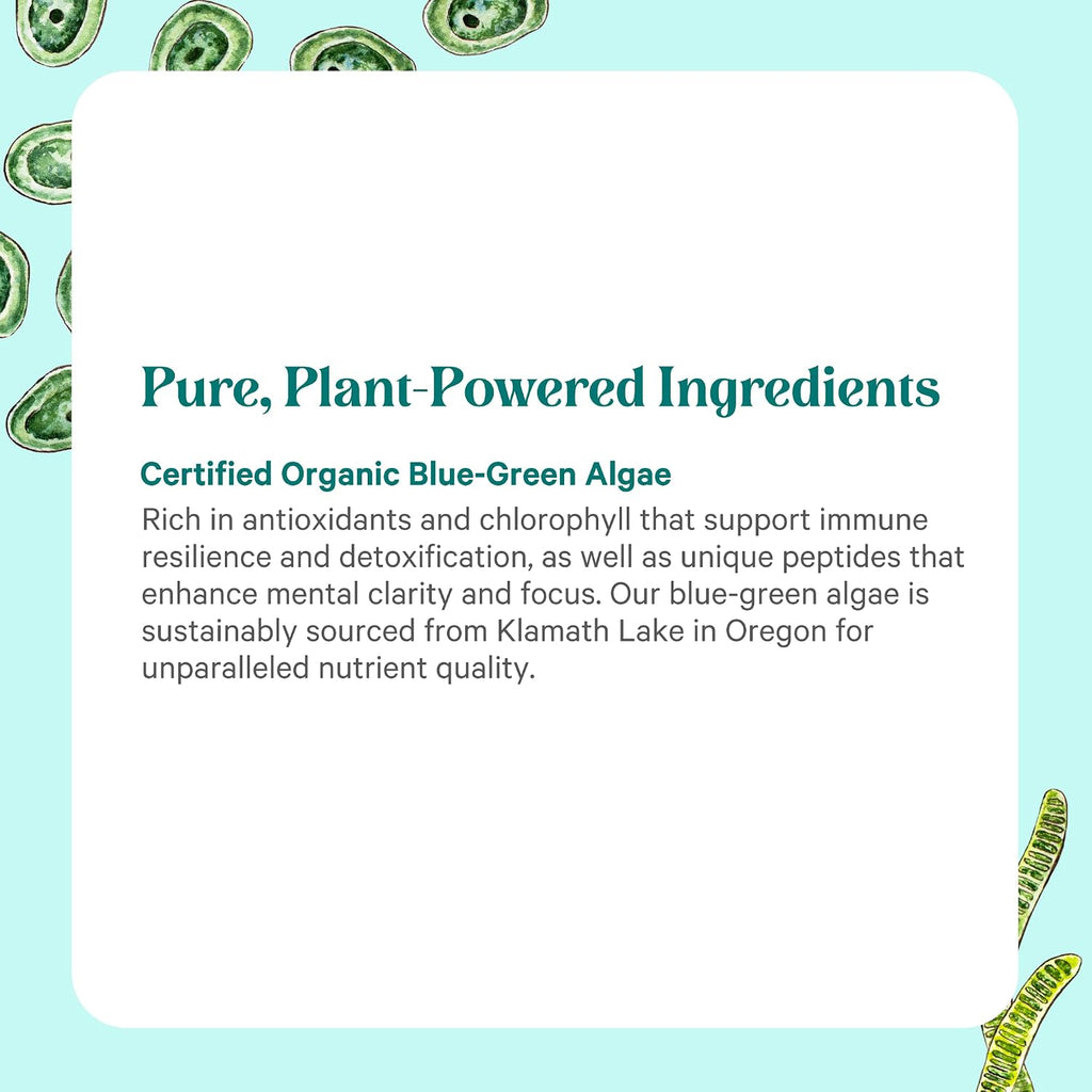 PURE SYNERGY Polvo de Alga Verde Azul | Superalimento con Clorofila | Suplemento Orgánico de AFA | Energía, Claridad Mental y Desintoxicación (90 g)