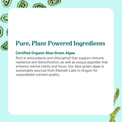 PURE SYNERGY Polvo de Alga Verde Azul | Superalimento con Clorofila | Suplemento Orgánico de AFA | Energía, Claridad Mental – Image 5