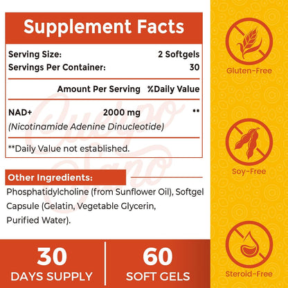 NAD+ 2000 mg con Liposomas - Suplemento de – Sistema nervioso: Contribuye al funcionamiento normal del sistema – Image 2