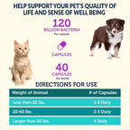 Vetbiome Plus Probióticos de Alta Potencia para Mascotas - 120 Mil Millones de UFC, 9 Cepas - 80 Cápsulas (2 Paquetes)