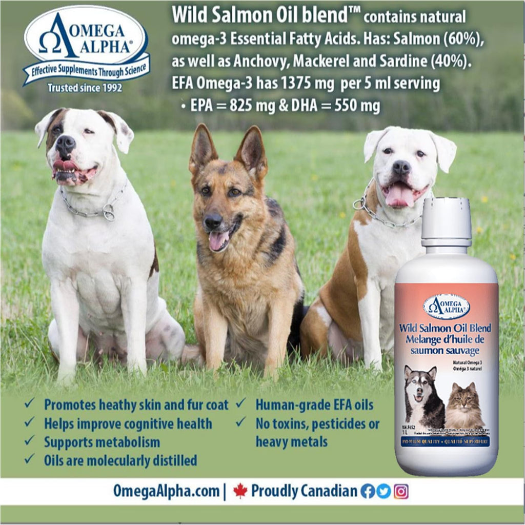 Omega Alpha Aceite de Salmón Salvaje para Perros y Gatos - 1L