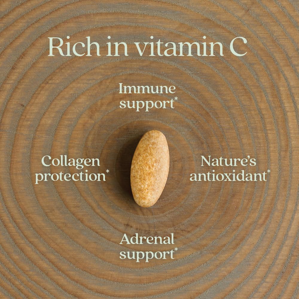 New Chapter Vitamina C Fermentada + Saúco, 60 Comprimidos