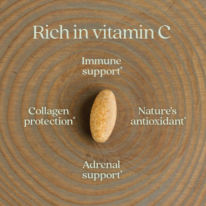 New Chapter Vitamina C Fermentada + Saúco, – Verificado Non-GMO – Image 4