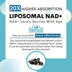 Maripolio NAD+ Liposomal 1000 mg | Alta Biodisponibilidad | Apoyo al Metabolismo Energético Celular | Suplemento de NAD+ Puro para Hombres y Mujeres, 60 Cápsulas Blandas