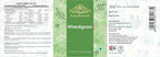 AYURFOREST Comprimidos de Hierba de Trigo (Wheatgrass) - 120 Comprimidos, 500 mg Cada Uno