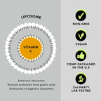 AMANDEAN Liposomal Vitamin C 1000mg 177ml - Suplemento Líquido de Vitamina C con Quali-C, Vegano, Sin Gluten