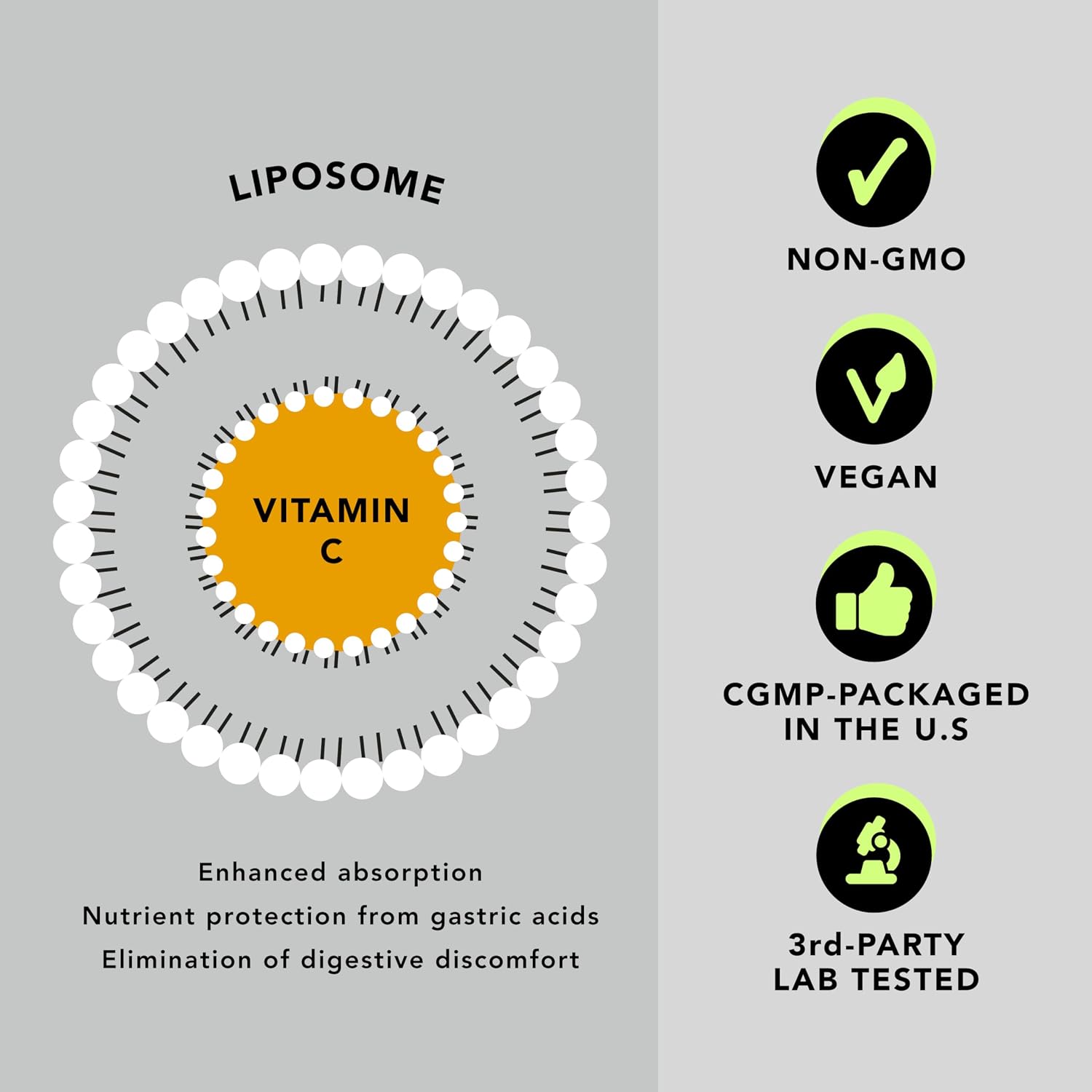AMANDEAN Liposomal Vitamin C 1000mg 177ml - Suplemento Líquido de Vitamina C con Quali-C, Vegano, Sin Gluten