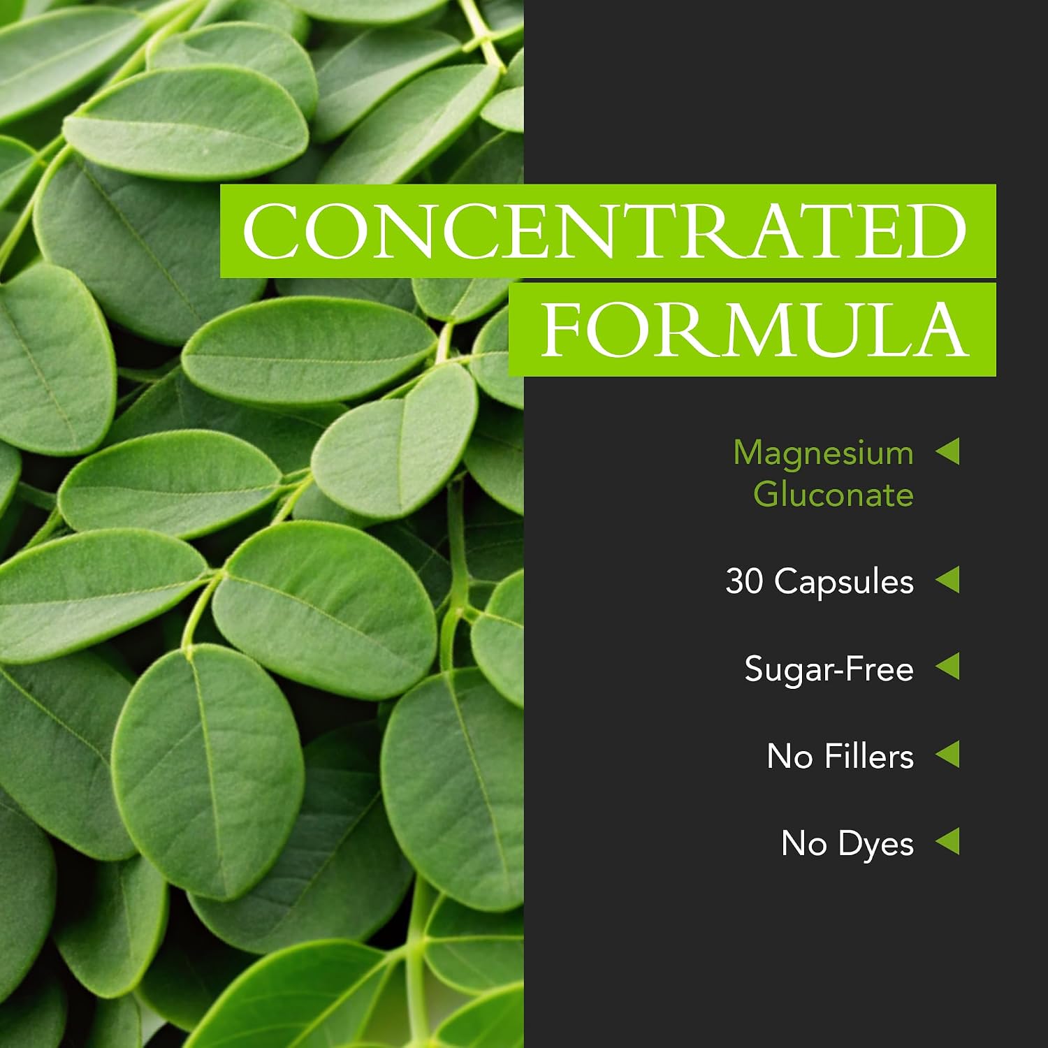 Xtravit Moringa Oleifera 1000 mg – 60 Cápsulas – Superalimento Natural Vegano