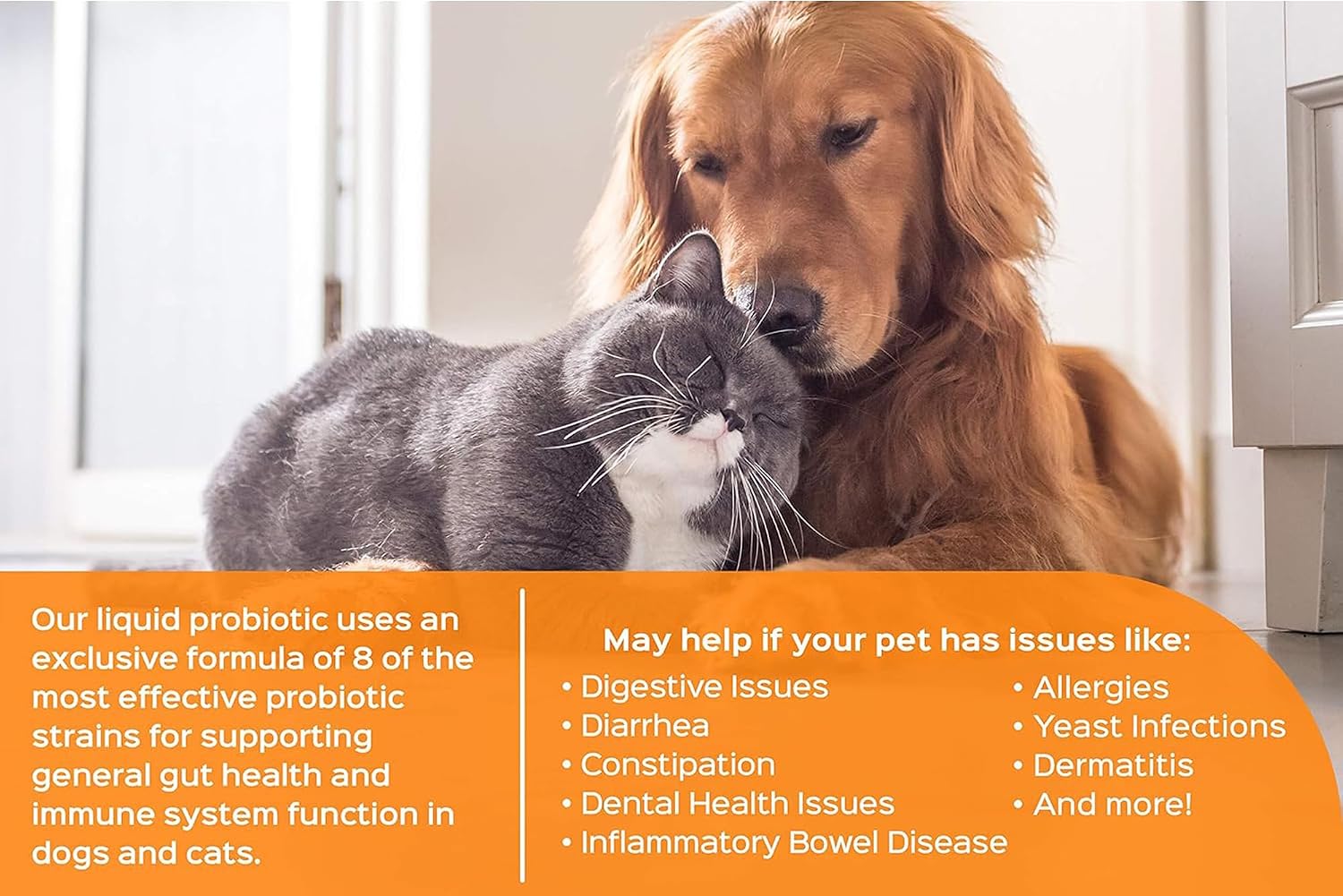 Humarian Probonix Probióticos Líquidos para Perros - 8 Cepas - Salud Digestiva, Dental e Inmunidad - 30 Días - Sabor Hígado
