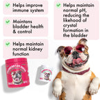 LEGITPET Masticables de Arándano para Perros – Apoyo Urinario y Renal con D-Mannosa 120 uds