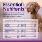 Multivitamínico Masticable para Perros 22 en 1 - Con Mejillón de Labios Verdes y Omega-3 - 60 Masticables Sabor Ternera