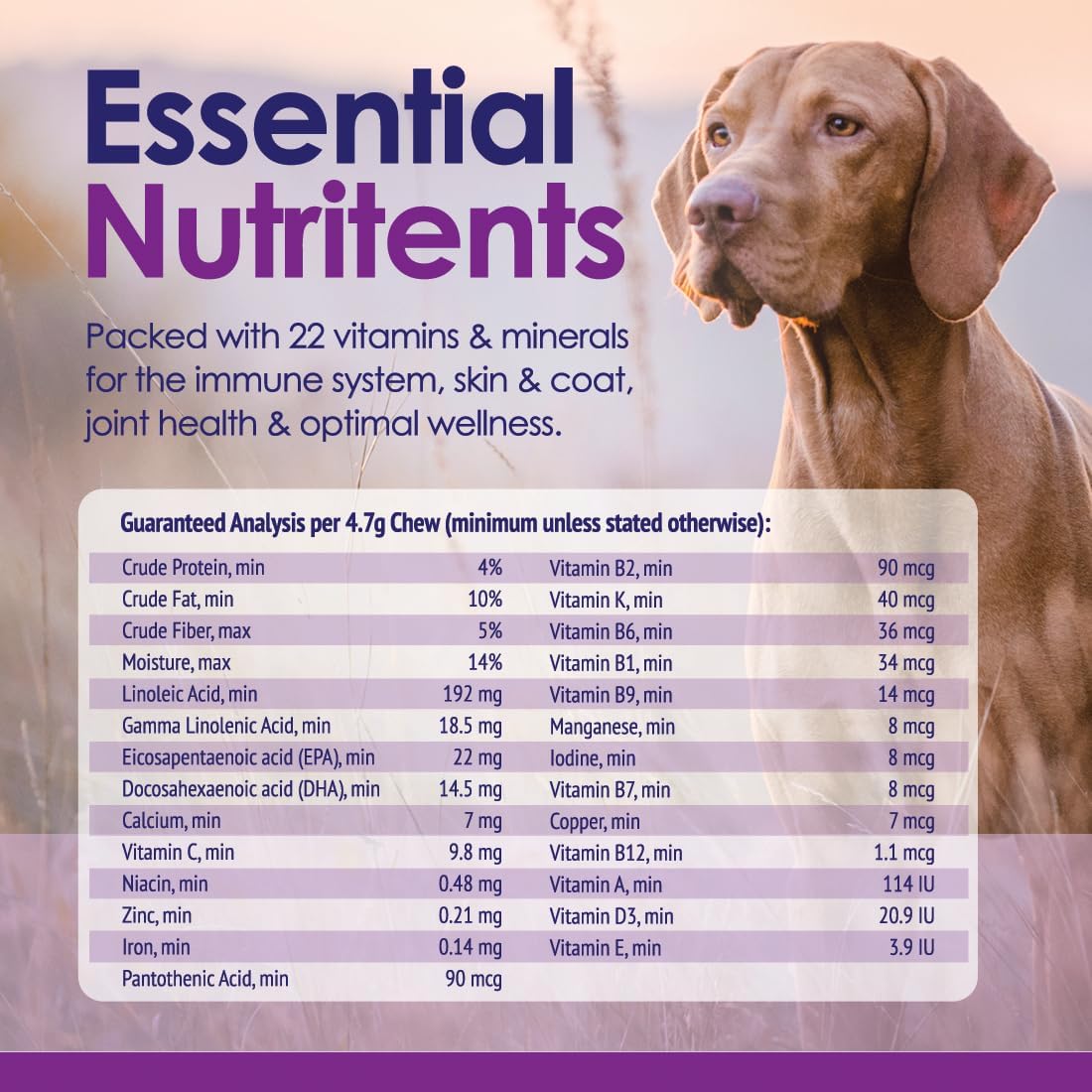 Multivitamínico Masticable para Perros 22 en 1 - Con Mejillón de Labios Verdes y Omega-3 - 60 Masticables Sabor Ternera